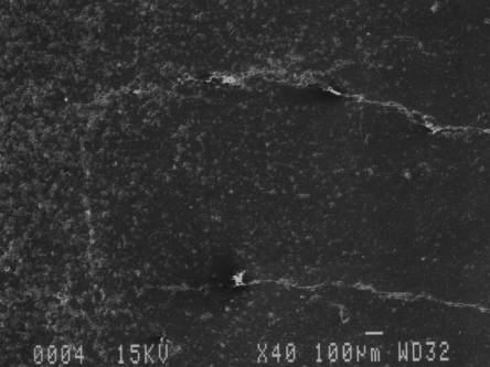 Comparison between Comminuted and Non-Comminuted Material (Comminuted to the left).