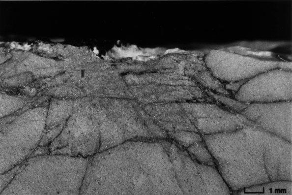 Tensile cracks within the Comminuted Zone.
