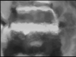 A vehicle viewed from 500 metres away during hot weather.