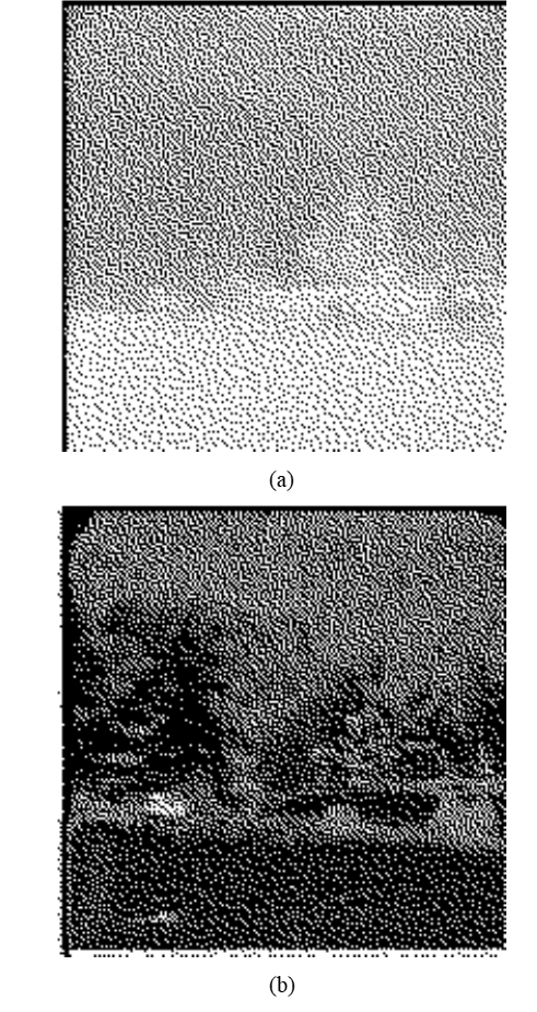 Raw, (a), and filtered, (b), images of an unobscured vehicle in tree shadows at 1.5km.