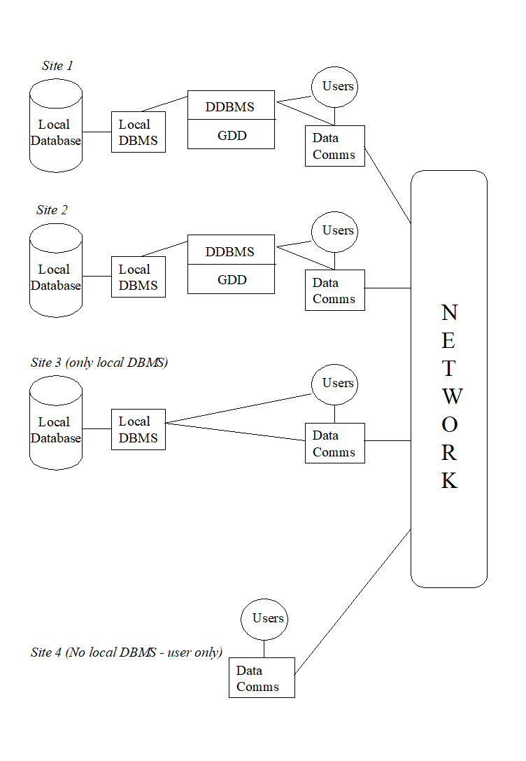 Components of a Distributed Database Management System.