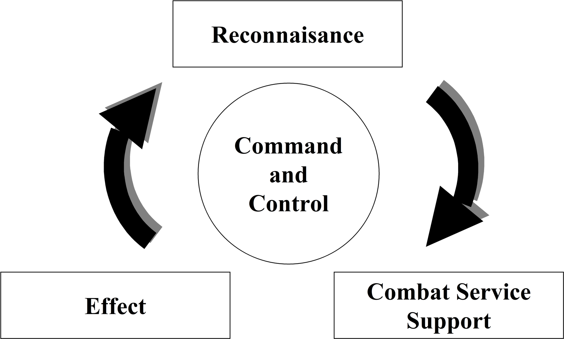 Integrated Information System.