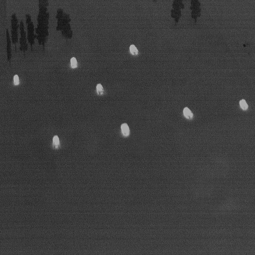 CTI Image.