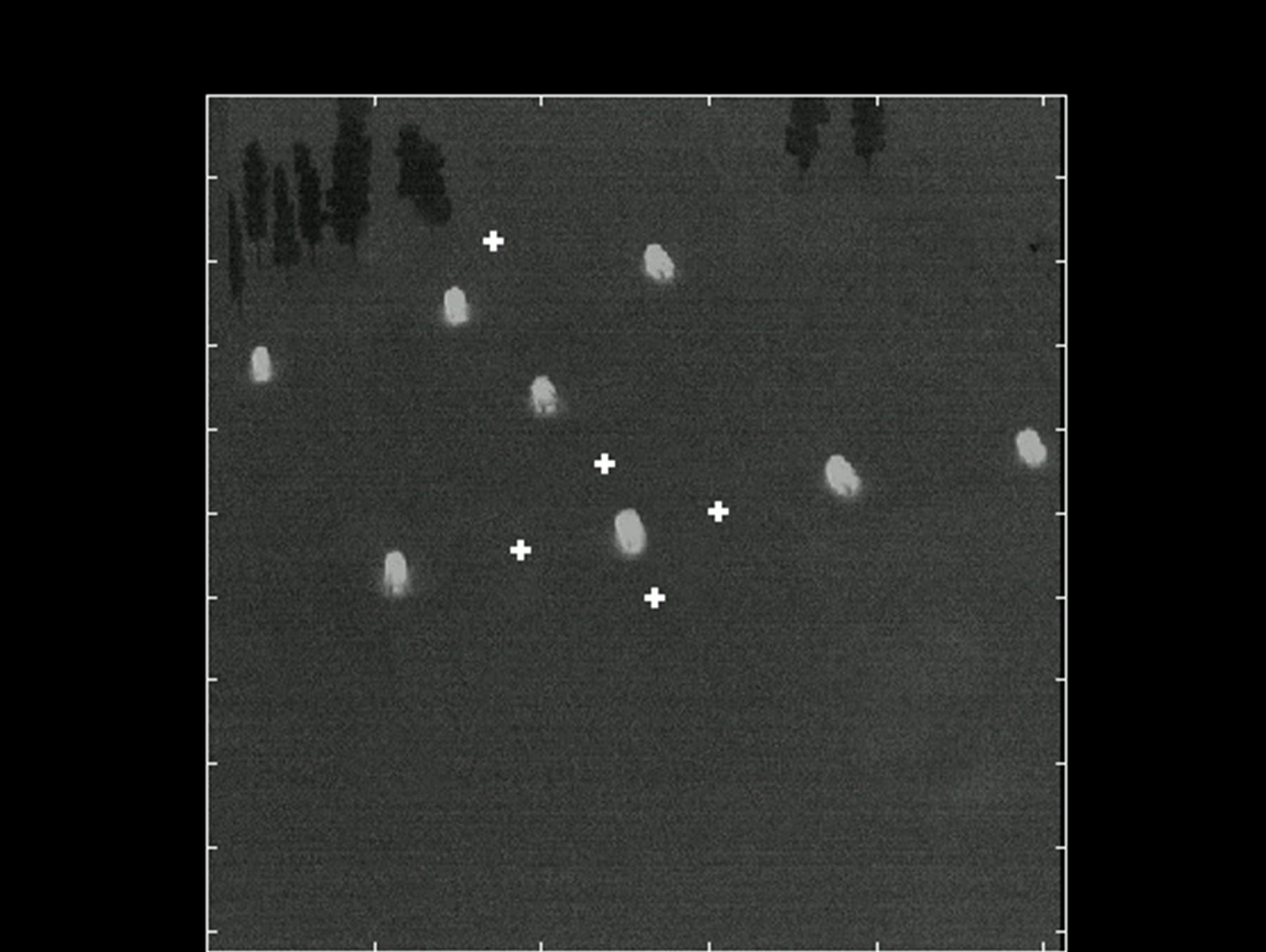 Warped Points on the CTI Image.