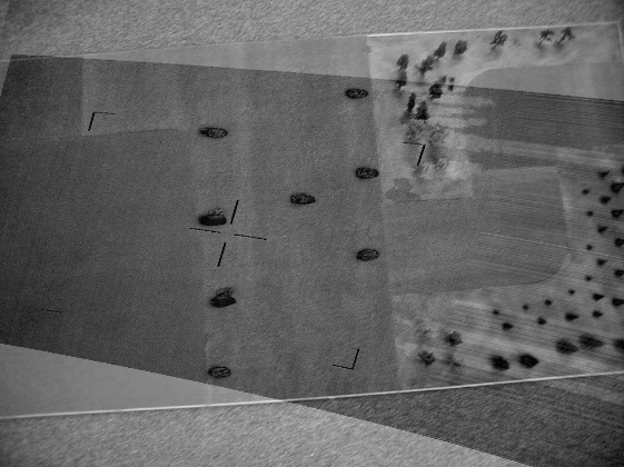 Warped CTI Image Overlay.