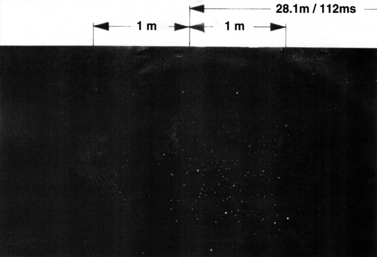 2.4-mm lead pellets at 28.1-m distance with 1/2 choke and 112-ms delay time to the firing pulse of the argon flash bomb.