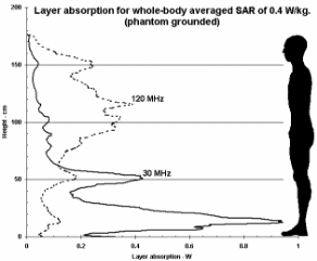 Power absorption in body layers for a whole-body averaged SAR of 0.4 W/kg, at 30 and 120 MHz (derived from [4]).