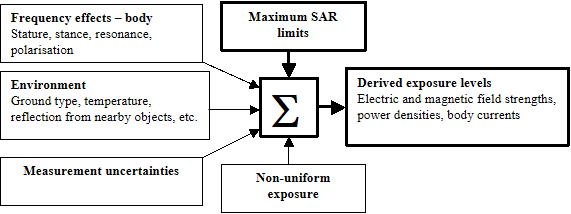 Relationship between maximum SAR limits and derived exposure levels.