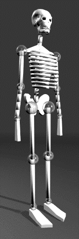 Kinetically linked skeleton derived from body data in [7].