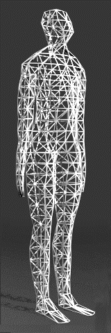 Skin-only mesh body derived from data in [6].