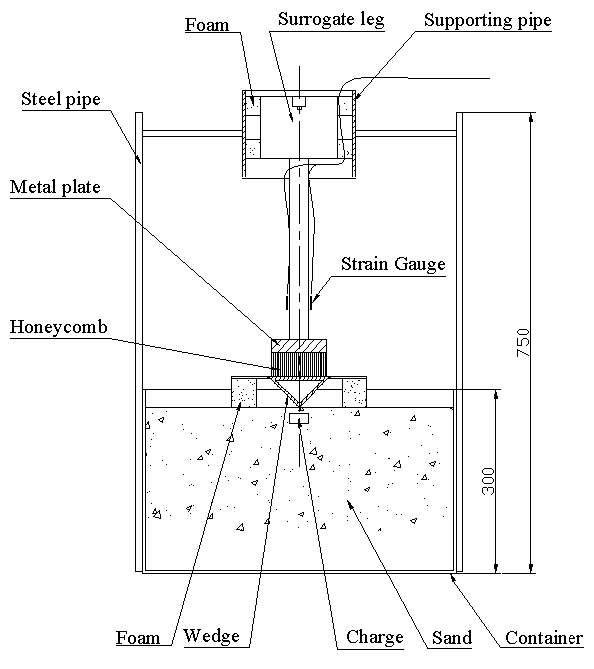 Explosion test set-up (dimension in mm).