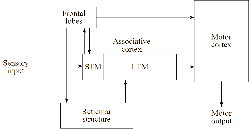 CCD display indicates groupings of enemy units in an urban area, based on the units’ capabilities and potential for cooperating with each other.
