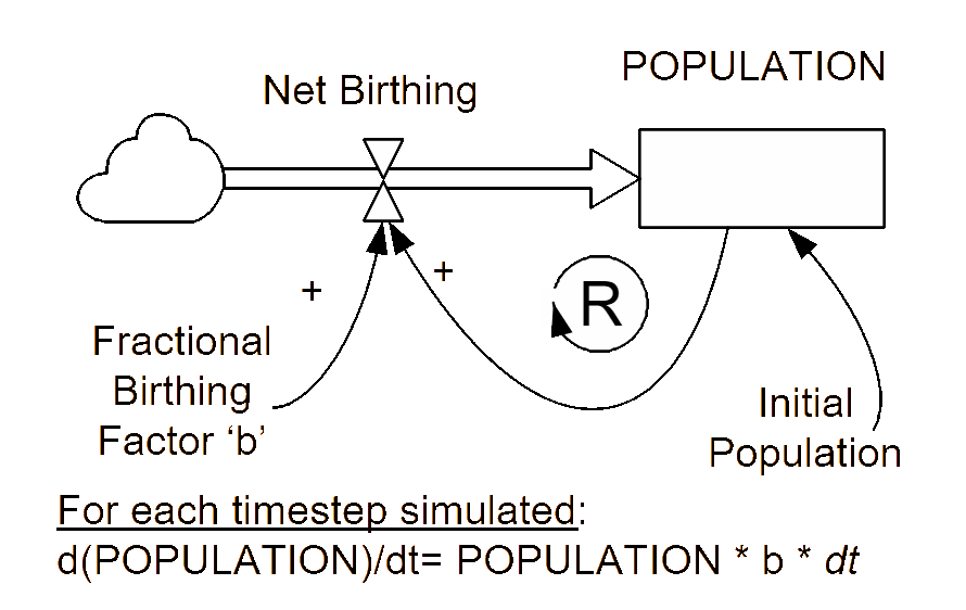 First-order, linear positive feedback system—POPULATION.
