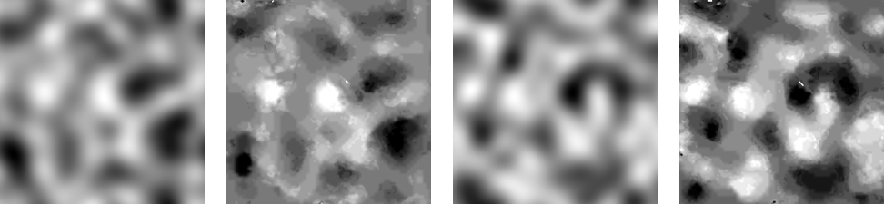 Shift maps: x-shift (upper), y-shift (lower) True (left column), PSF-derived results (right column), with grey-level indicating the degree of shift, white positive and black negative.