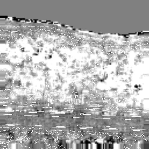 The x and y shift maps of frame 2 of house on a hill sequence 10 km distant, with grey level indicating the degree of local blurring.