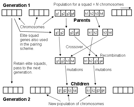 Schematic diagram for the genetic algorithm. Genes g1, …, g4 and h1, …, h4 correspond to personality weightings in the MANA model. Hence, genes are integer valued with values typically ranging between –100 and 100.