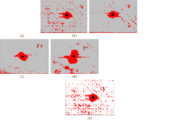 Typical C-scan images of ballistic damage resulting from 12.7-mm projectiles. (a) Shot with no structural loading; (b)–(d) Shot with 3,500 , 7,000 , and 9,000 structural loading respectively; and (e) 9,000 structural loading applied after the panel was shot with no structural loading.