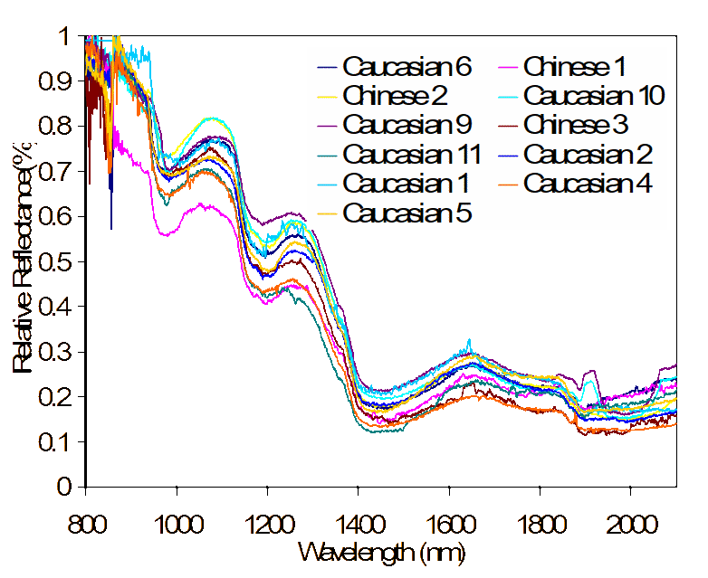 Normalised spectra of skin samples from 800 nm to 2,100 nm.