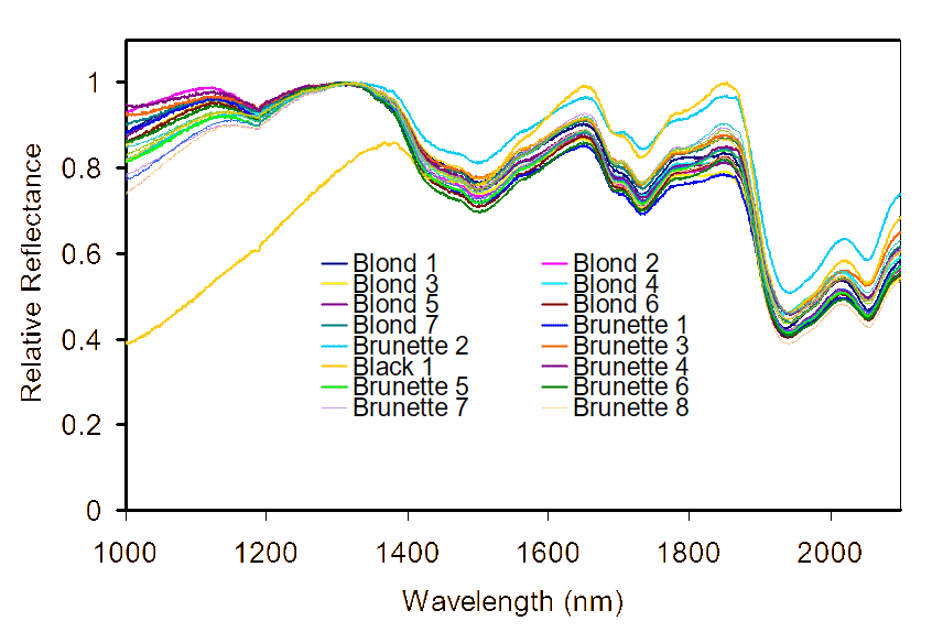 Normalised spectra of hair samples from 1,000 nm to 2,100 nm.