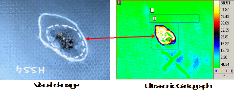 FSJB repaired specimen and IR thermography result.