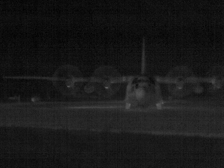 IR image and grey-scale model image (front view).