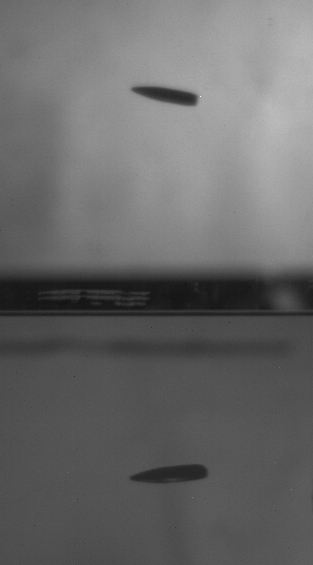 (a) top view (yaw) (b) side view (pitch).