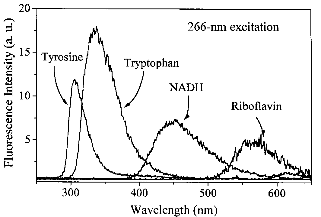 Fluorescence spectra of common fluorophors found in biological particles (spectra taken from [13]).