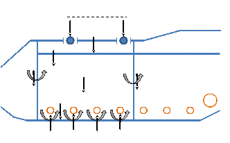 Free-body diagrams for both hull types (steel and honeycomb floor plates).